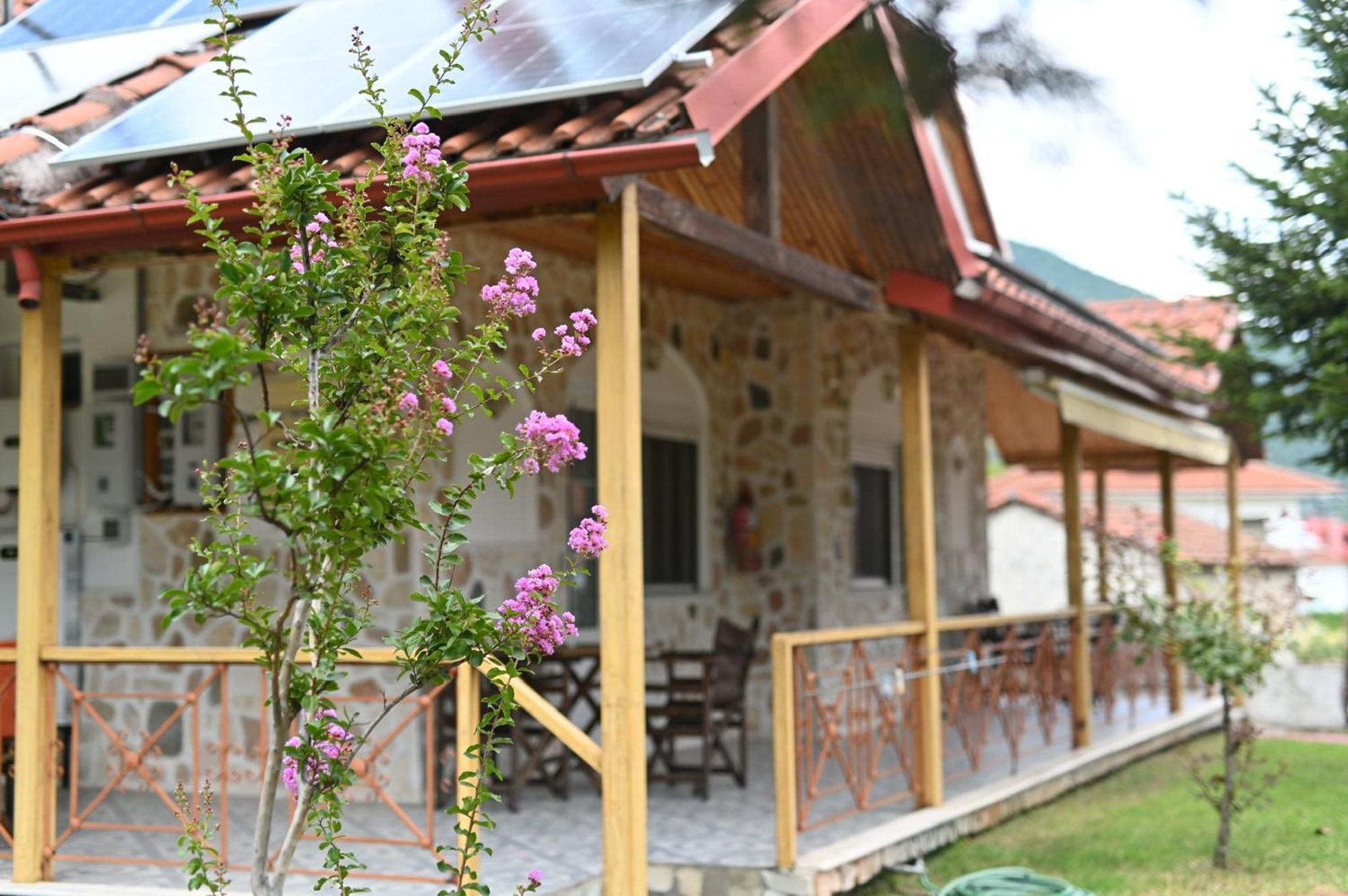 Guesthouse Agnandi Káto Loutrákion Dış mekan fotoğraf