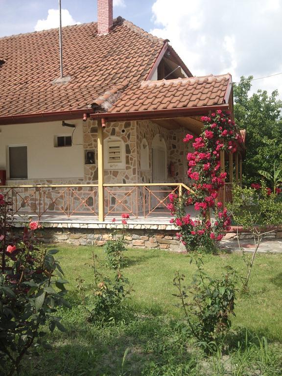 Guesthouse Agnandi Káto Loutrákion Dış mekan fotoğraf